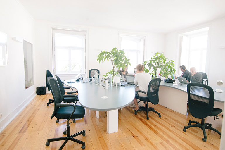 Top 4 Plants To Spruce Up Your Office