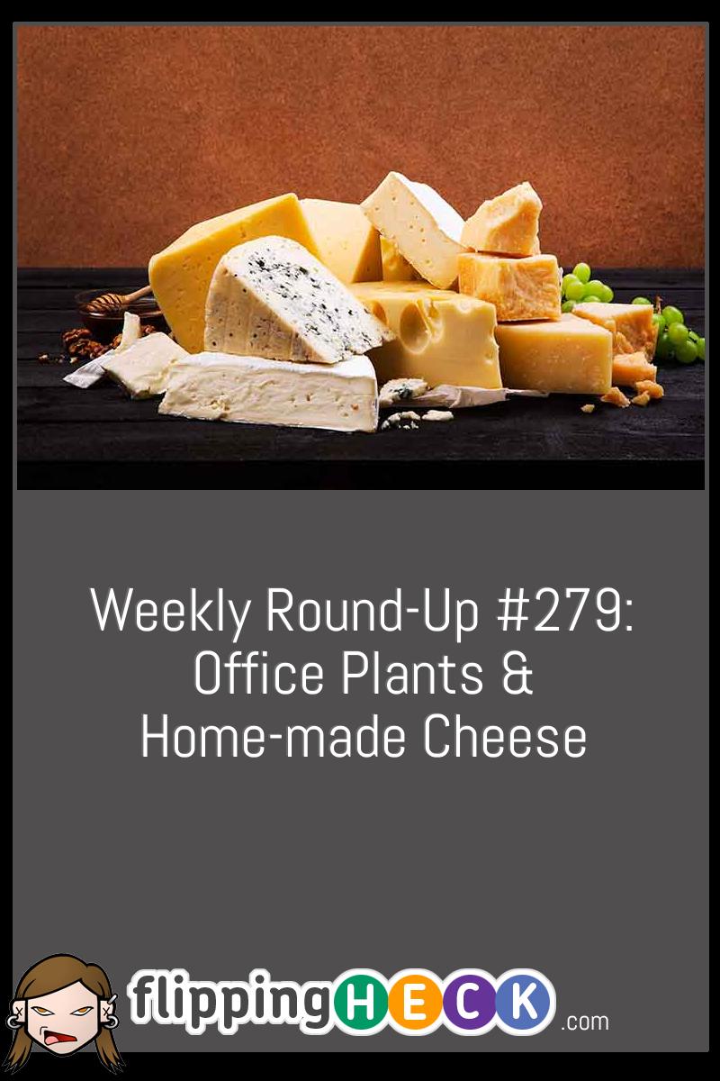 Weekly Round-Up #279: Office Plants & Home-made Cheese