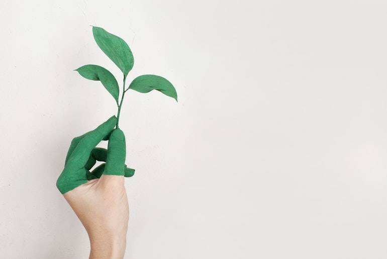 Going Green: 6 Tips to Create a More Sustainable and Productive Eco-Friendly Home