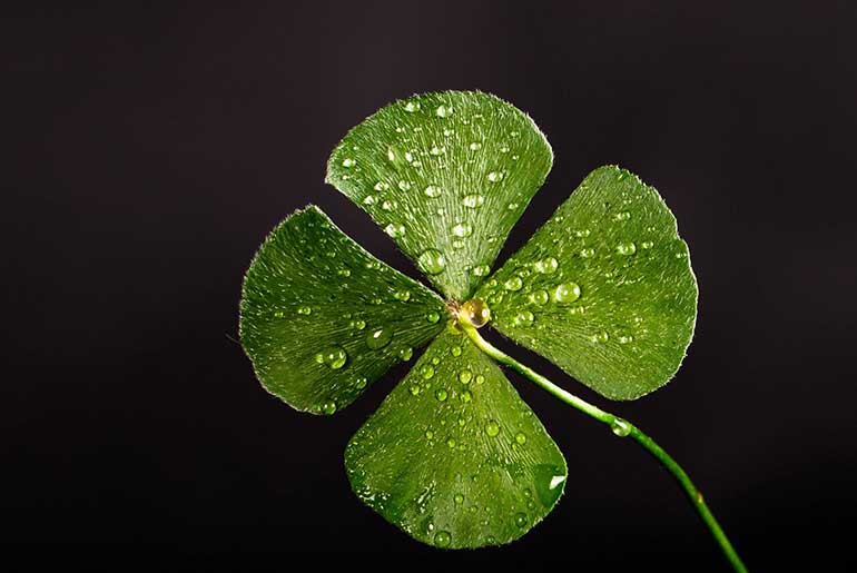 What Is Good Luck, And How Can We Encourage It?