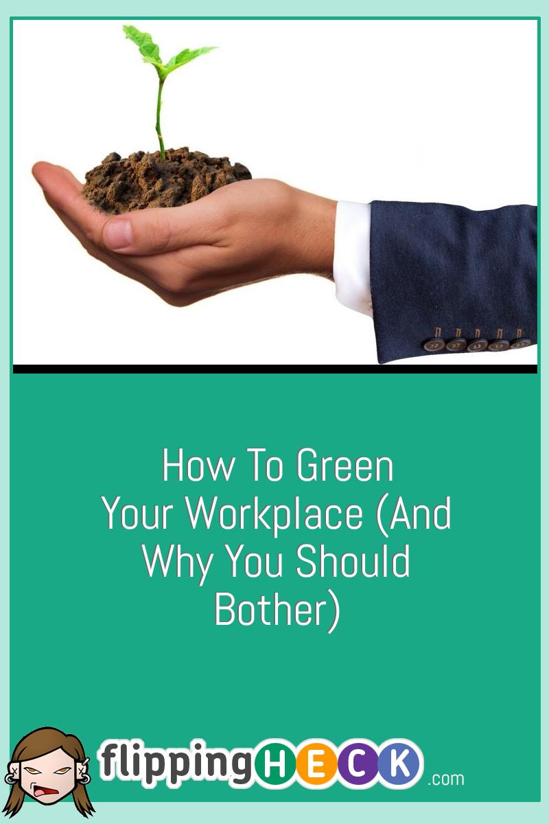 How To Green Your Workplace (And Why You Should Bother)