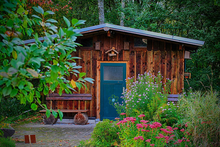 Shed in a garden with a blue door