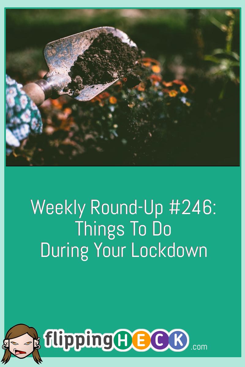 Weekly Round-Up #246: Things To Do During Your Lockdown
