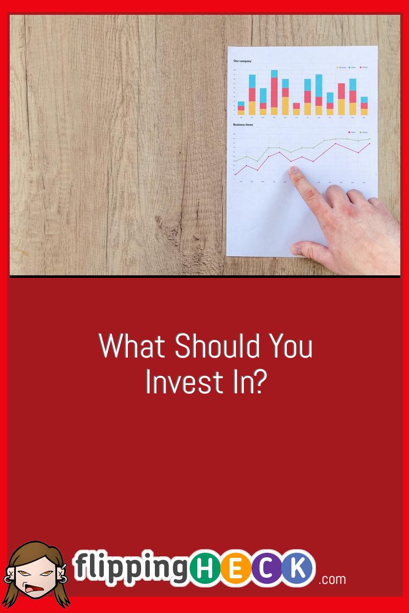 What Should You Invest In?