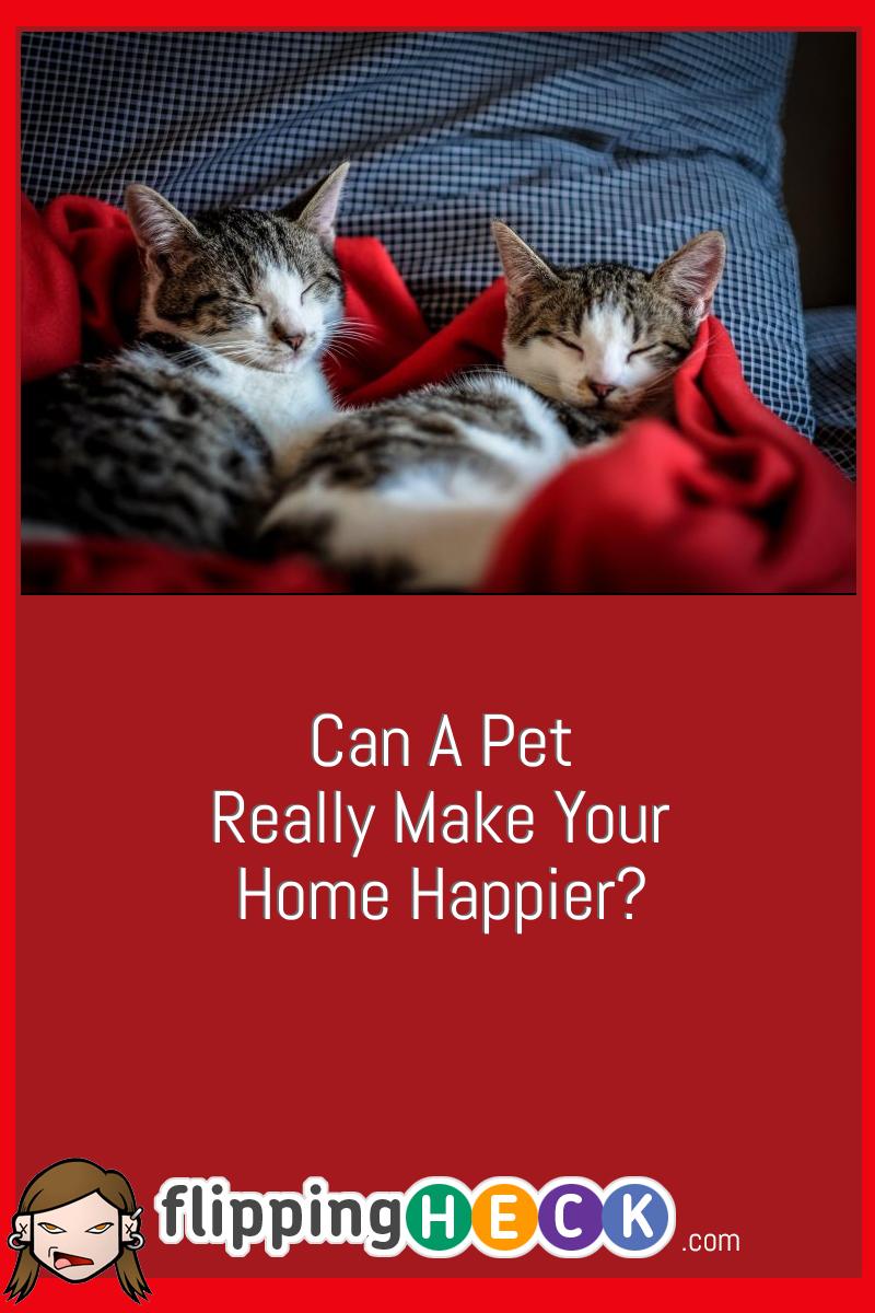 Can A Pet Really Make Your Home Happier?