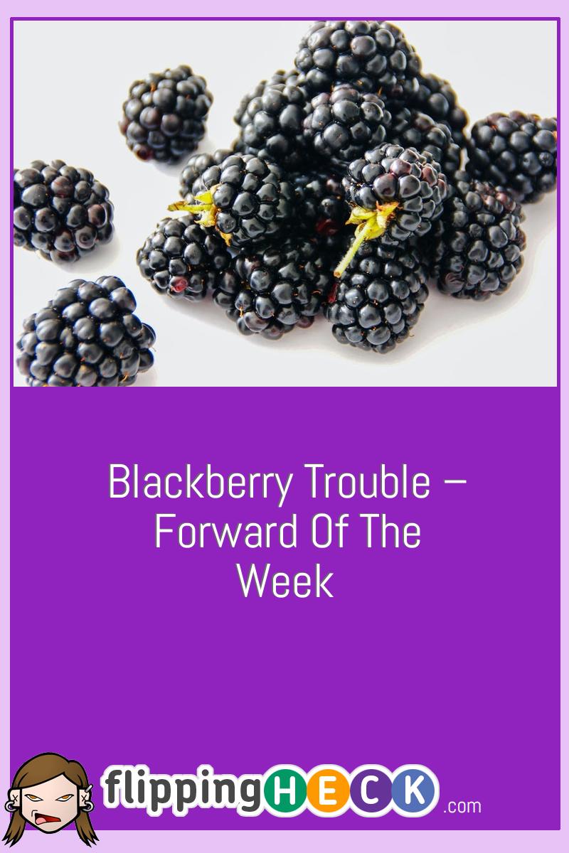 Blackberry trouble – Forward of the week