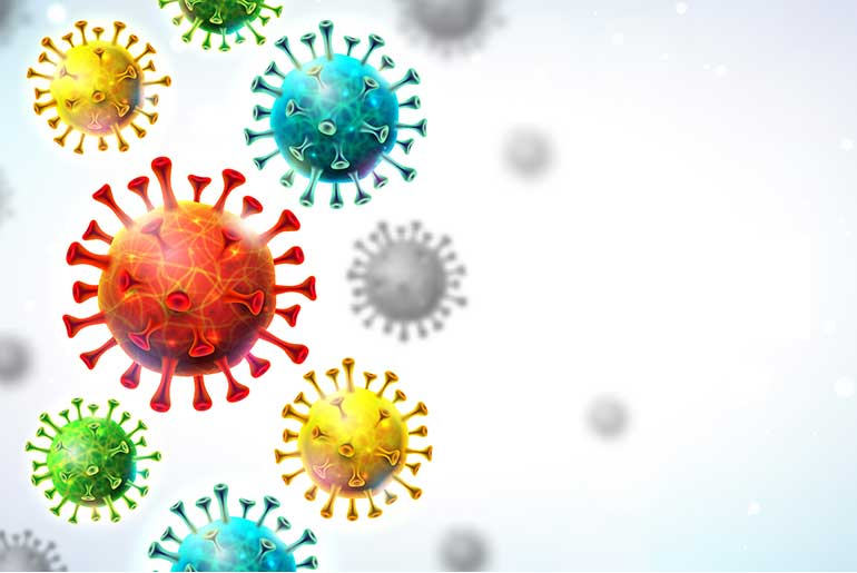 Illustration of coronavirus particles