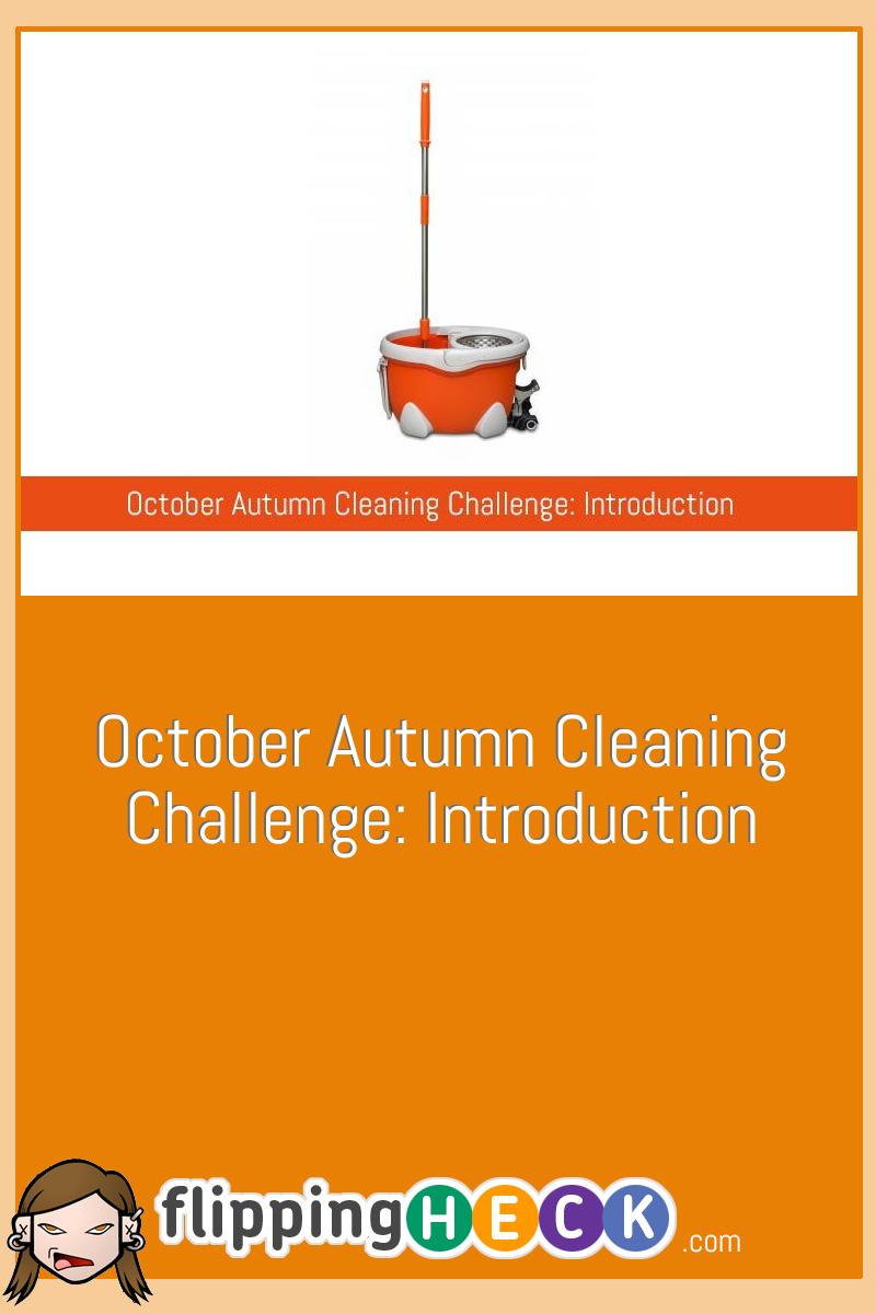 October Autumn Cleaning Challenge: Introduction