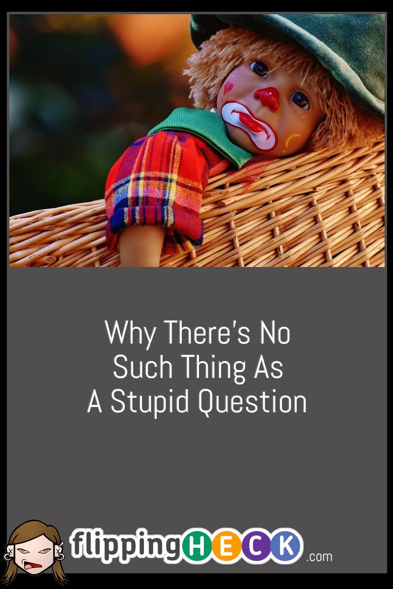 Why There’s No Such Thing As A Stupid Question