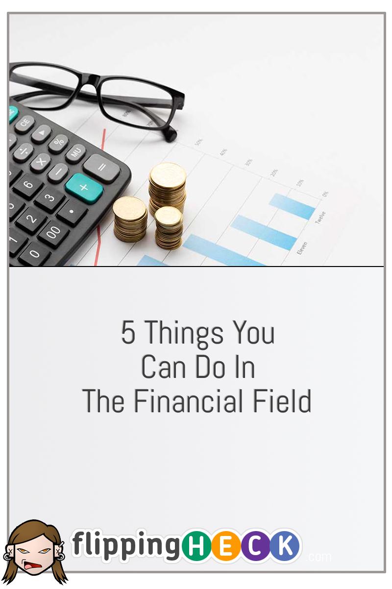 5 Things You Can Do In The Financial Field