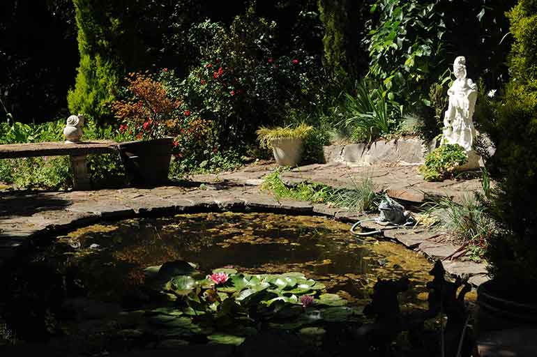 Garden pond with lilly pads and a white statue