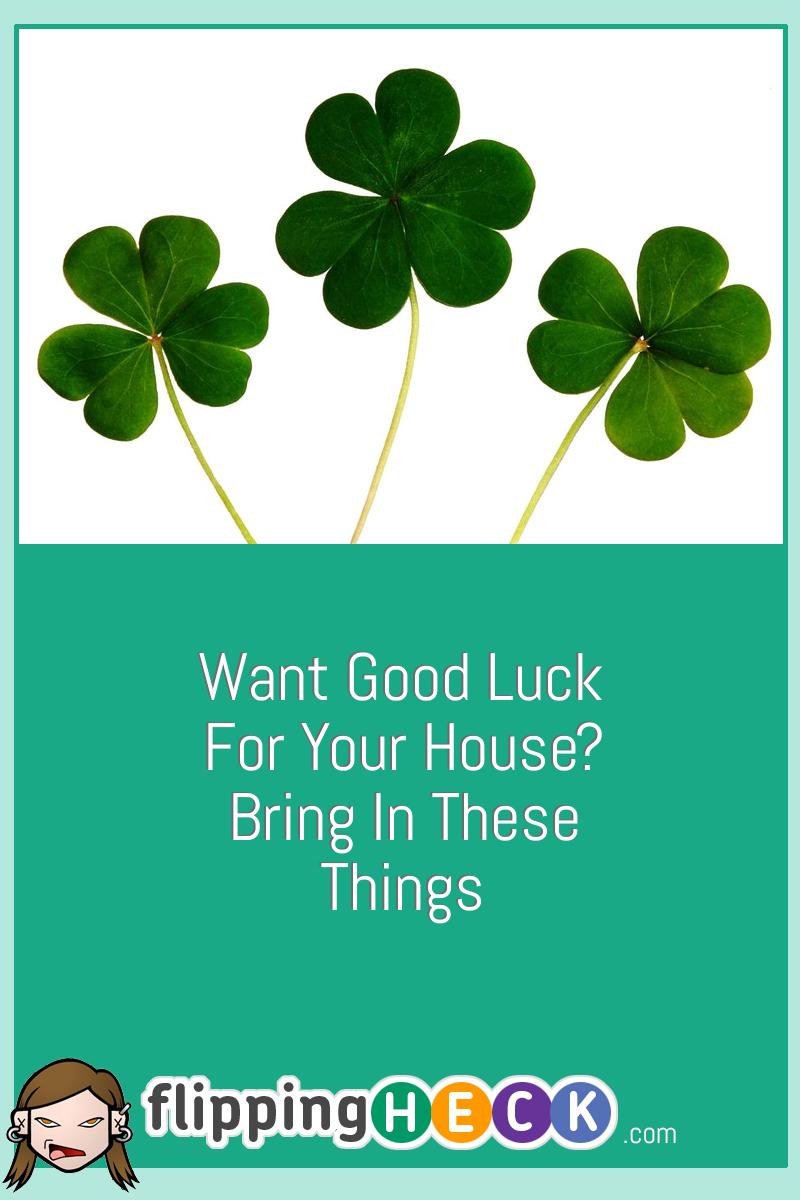 Want Good Luck for Your House? Bring In These Things