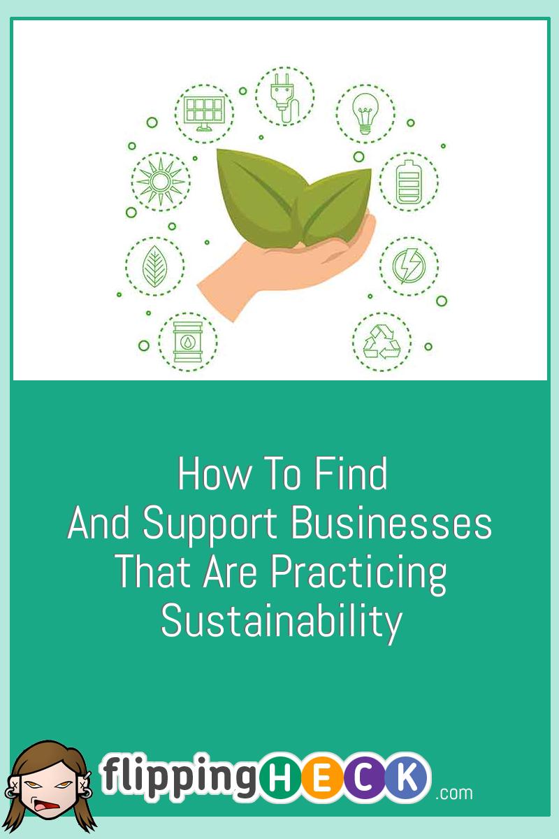 How To Find And Support Businesses That Are Practicing Sustainability