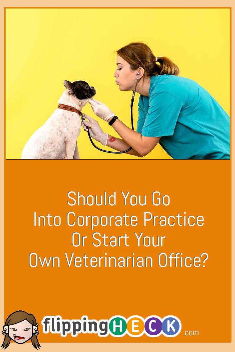 Should You Go Into Corporate Practice Or Start Your Own Veterinarian Office?