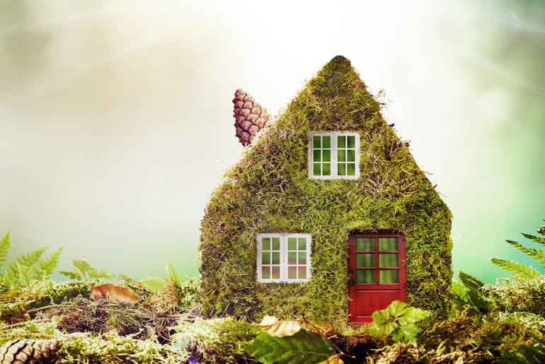 Toy house covered in moss