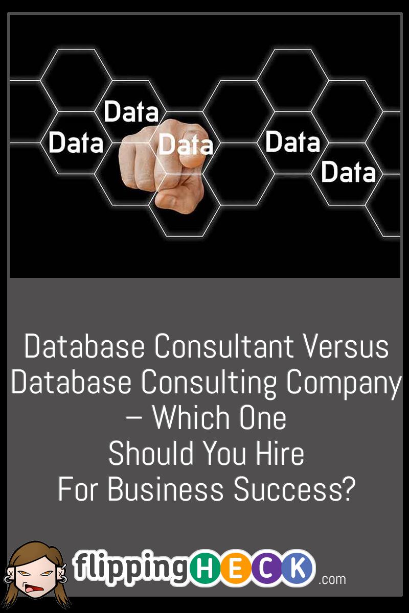 Database Consultant Versus Database Consulting Company – Which One Should You Hire For Business Success?