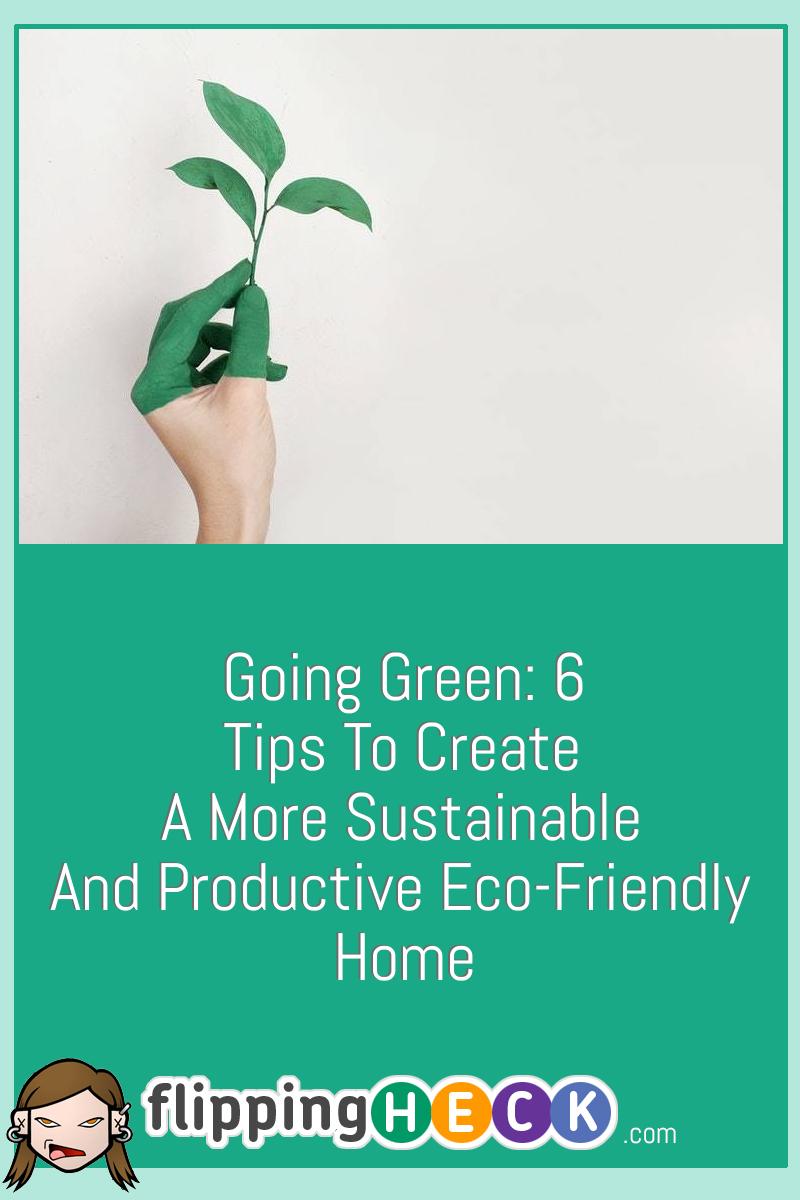 Going Green: 6 Tips to Create a More Sustainable and Productive Eco-Friendly Home