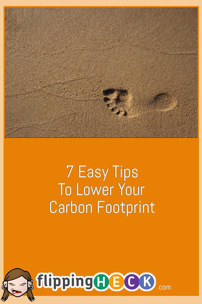7 Easy Tips To Lower Your Carbon Footprint