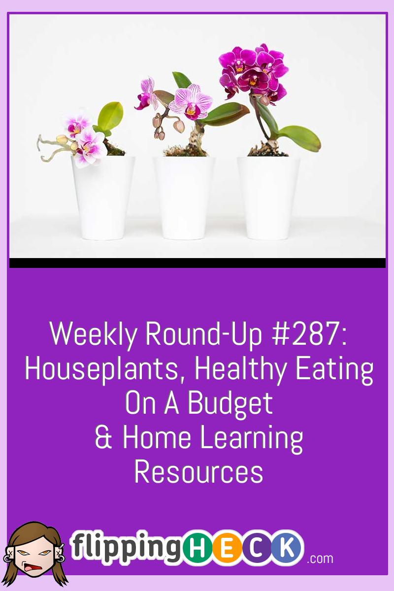 Weekly Round-Up #287: Houseplants, Healthy Eating On A Budget & Home Learning Resources