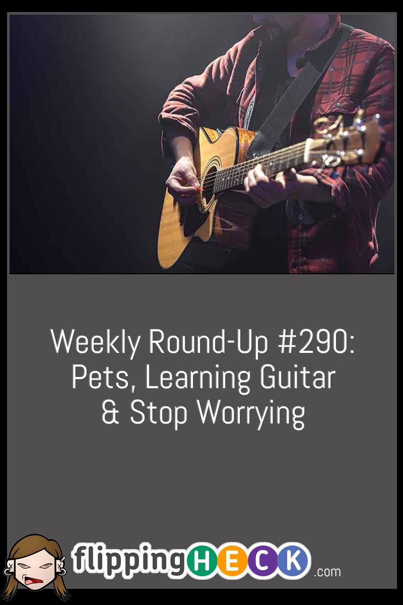 Weekly Round-Up #290: Pets, Learning Guitar & Stop Worrying