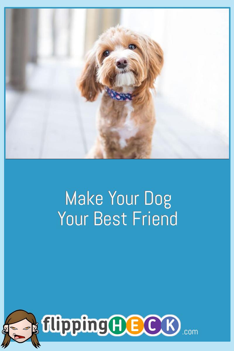 Make Your Dog Your Best Friend