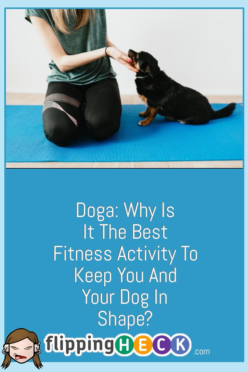 Doga: Why Is It The Best Fitness Activity To Keep You And Your Dog In Shape?