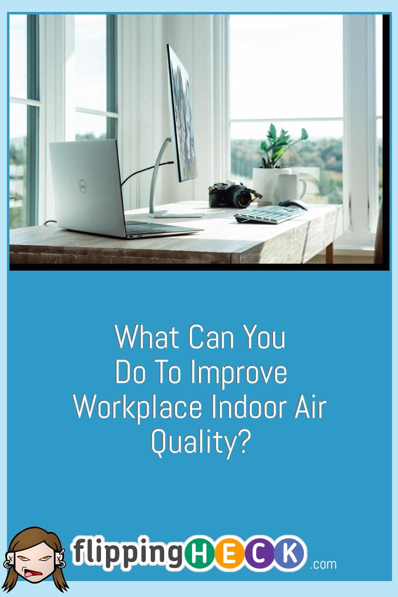 What Can You Do to Improve Workplace Indoor Air Quality?