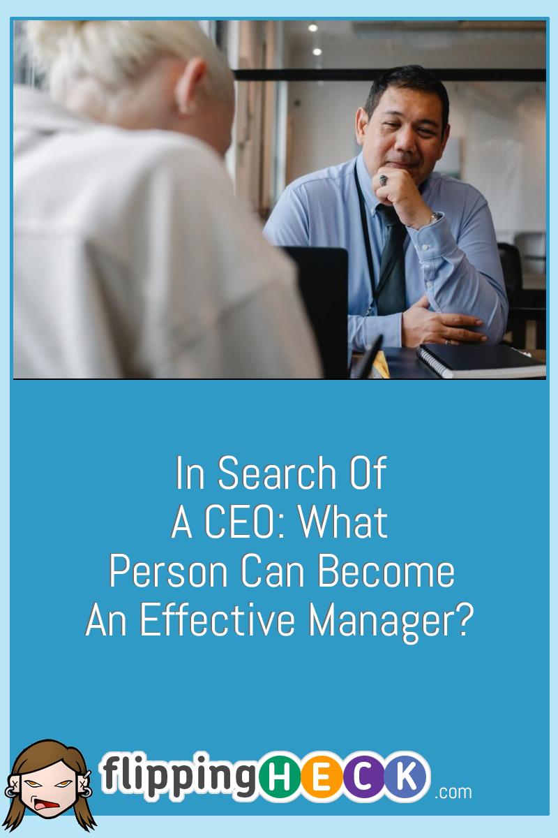 In Search Of A CEO: What Person Can Become An Effective Manager?