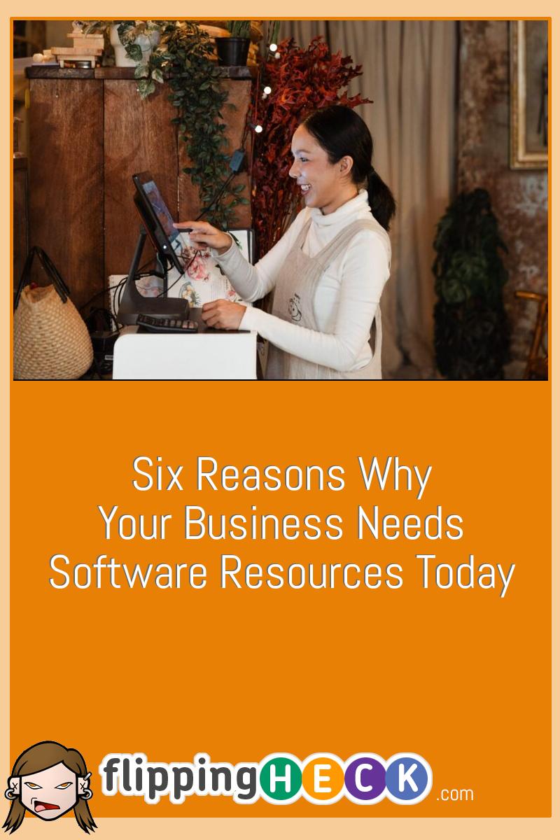 Six Reasons Why Your Business Needs Software Resources Today