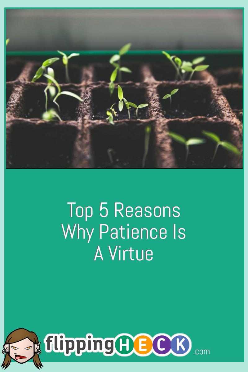 Top 5 Reasons Why Patience Is A Virtue