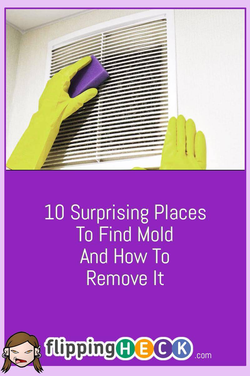 10 Surprising Places To Find Mold And How To Remove It