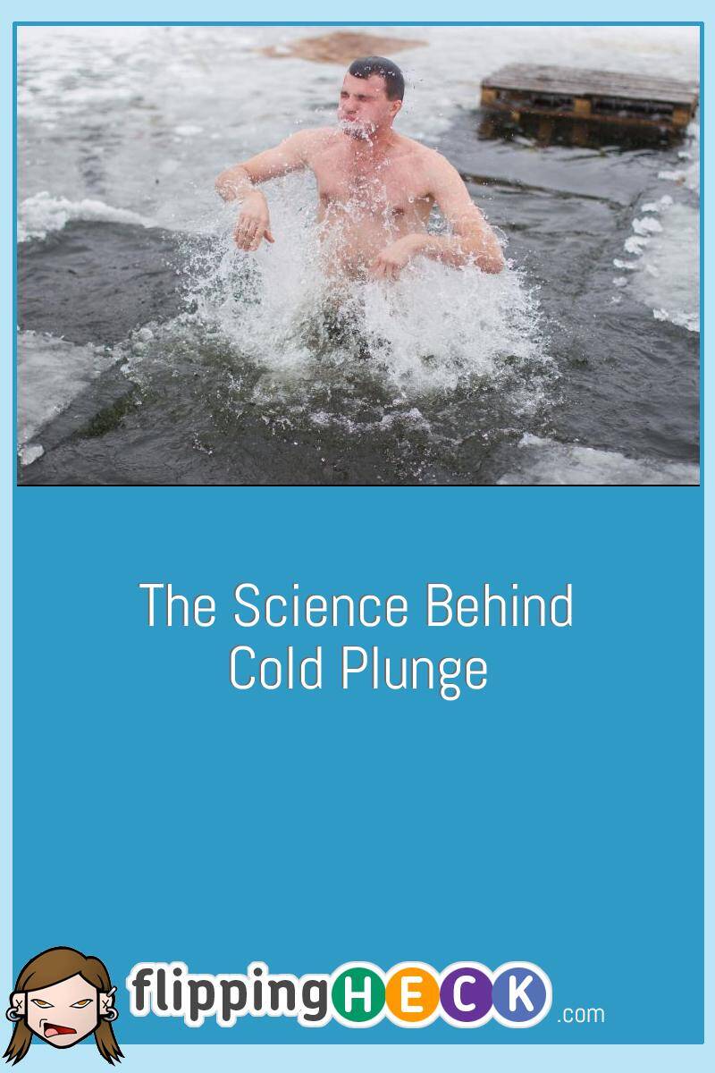 The Science Behind Cold Plunge