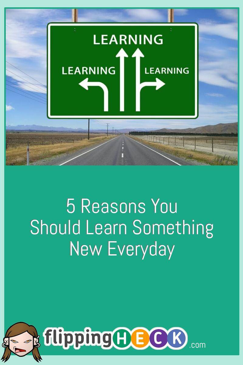 5 Reasons You Should Learn Something New Everyday