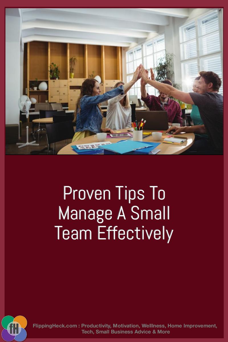 Proven Tips To Manage A Small Team Effectively