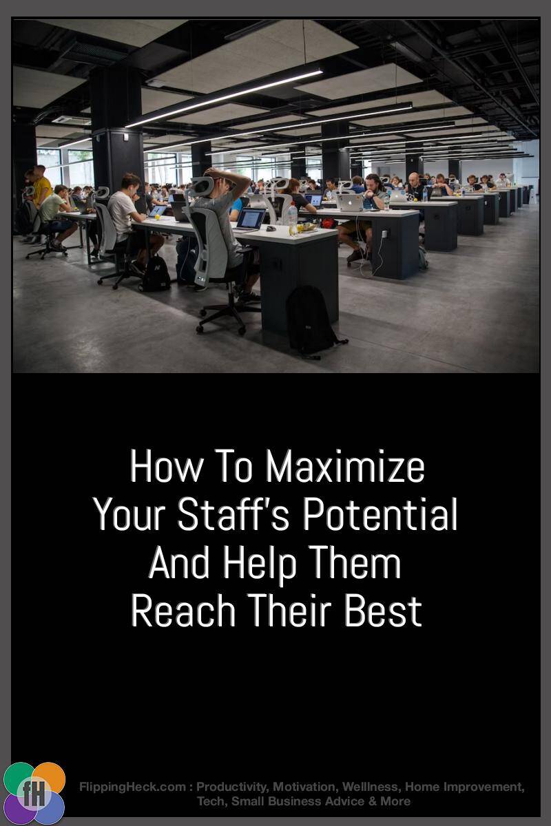 How To Maximize Your Staff’s Potential And Help Them Reach Their Best